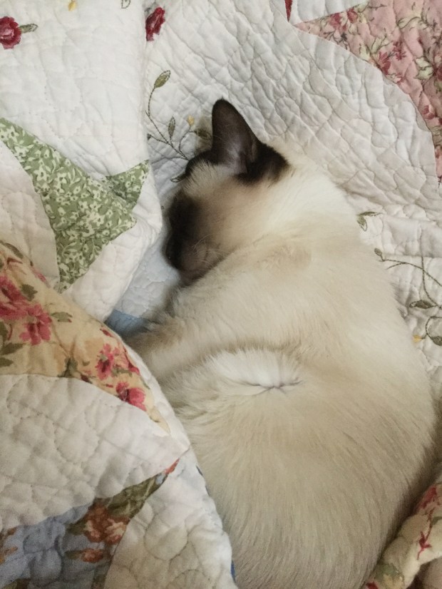 0D74FB95-27D4-4BC6-A21E-EF48B2EECE4F