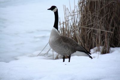 FEED977D-83D9-444F-A30B-CAD3288C059C