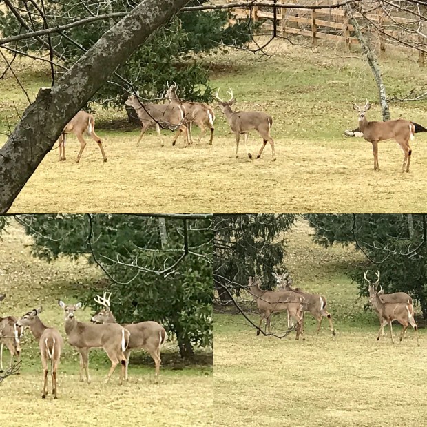 2AAF50BF-92D4-42F3-87F4-2BF799E4D82E