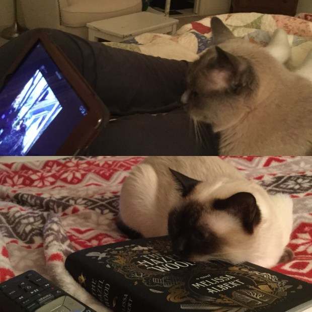 EAD282EA-A94F-44BC-A852-1ED961EC9A61