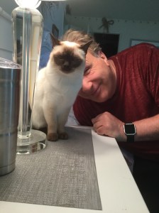 1C38D8C3-C9C9-41D0-96B2-7E13E887ACC7