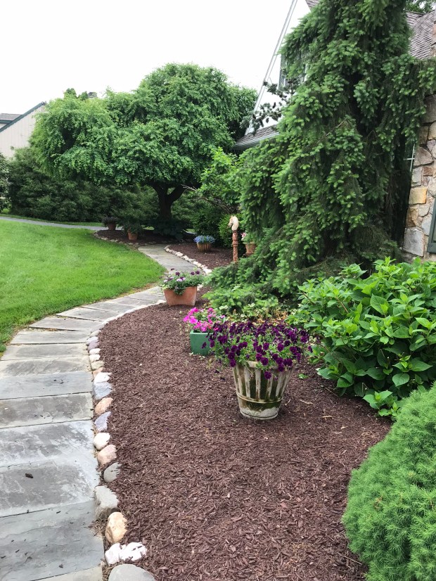 66284E5C-DB05-4D77-ACDB-CA4D1C92EB27