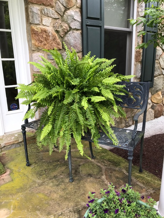 7B70E2F6-650B-497E-8C86-971BA1763501