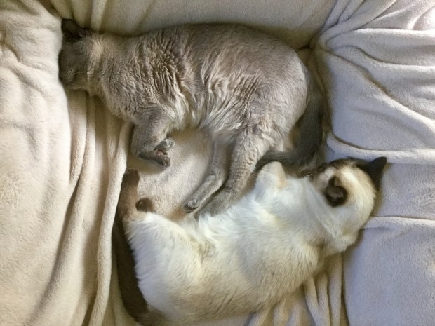 E78981A5-30EB-47B7-BF15-A3C9ACFC82CB