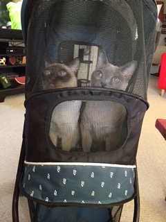 5767AFF3-45F4-4FEB-8986-9C9773FFE42F