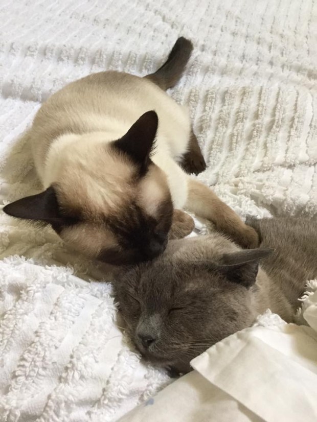 D5410DE0-42B0-4679-998D-3B9CFAD86FB3