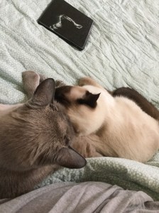 08AEBB33-732E-45BD-8BCF-7A54EDC1959B