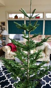 856698F5-2E57-4237-A658-F5255D67E84C