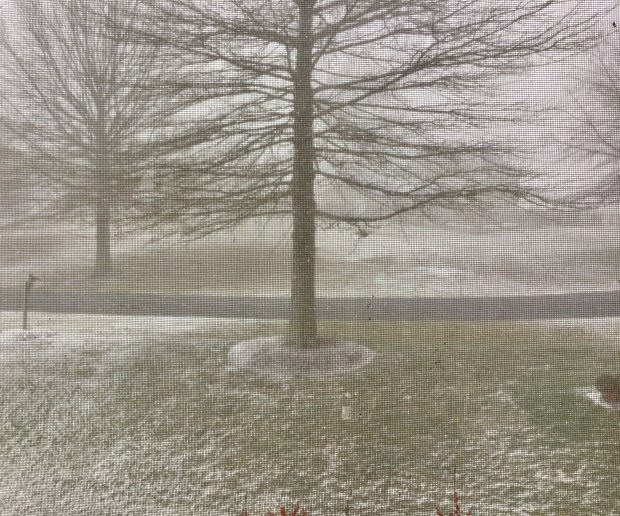 FF752390-C043-4261-AAD5-35CE18552EDC