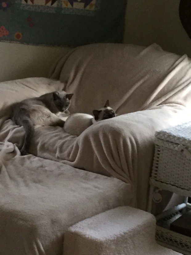 BDF989BB-E90A-4B75-ADC6-AF698D48BB36